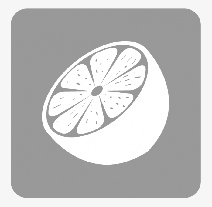 橘子图标