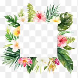 手绘植物边框