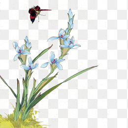 花