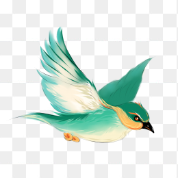 鸟