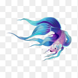 鱼