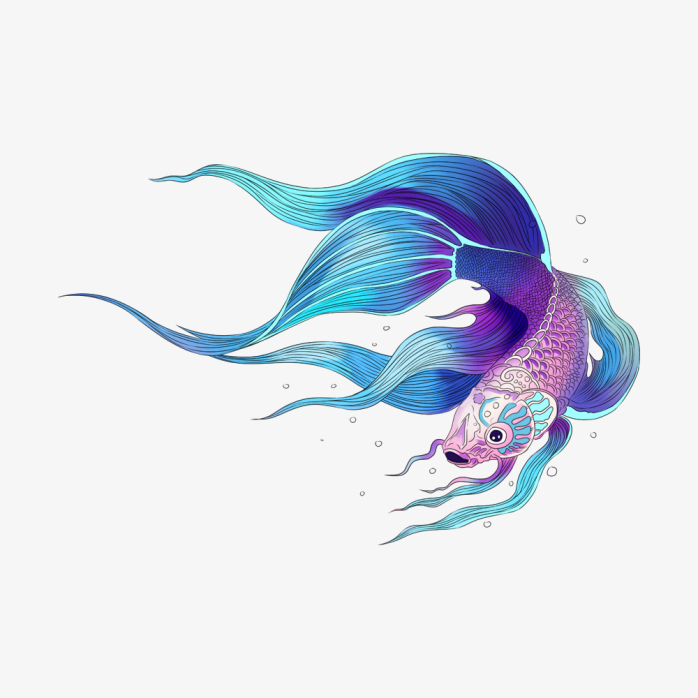 鱼