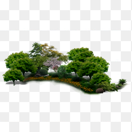 树