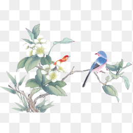 鸟