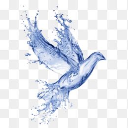水滴水珠