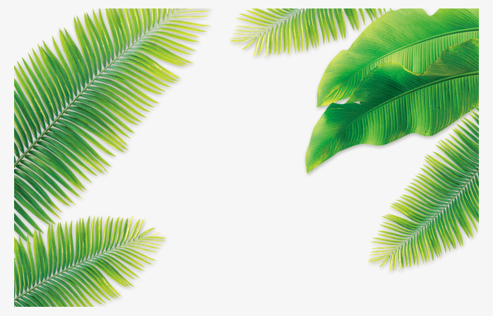 绿色植物