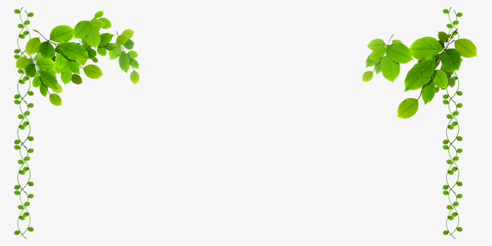 绿色植物