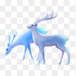 蓝色小鹿