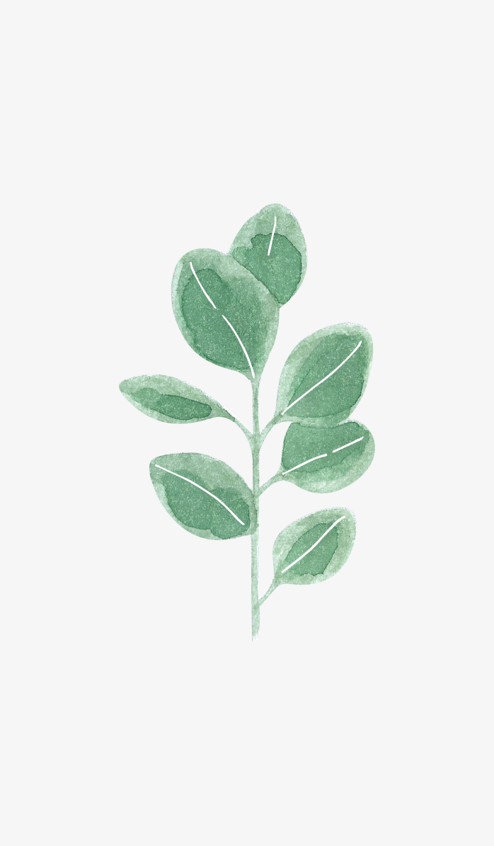 唯美森系绿色植物手绘