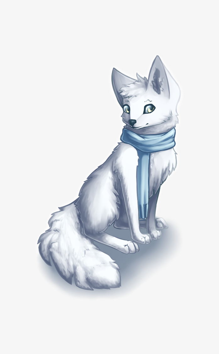 狐狸