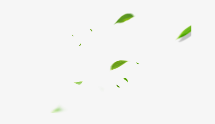 树叶