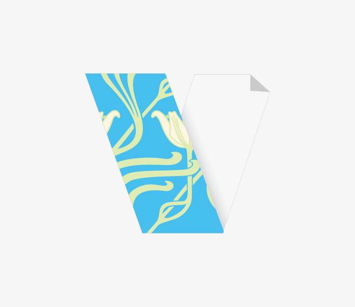 字母V