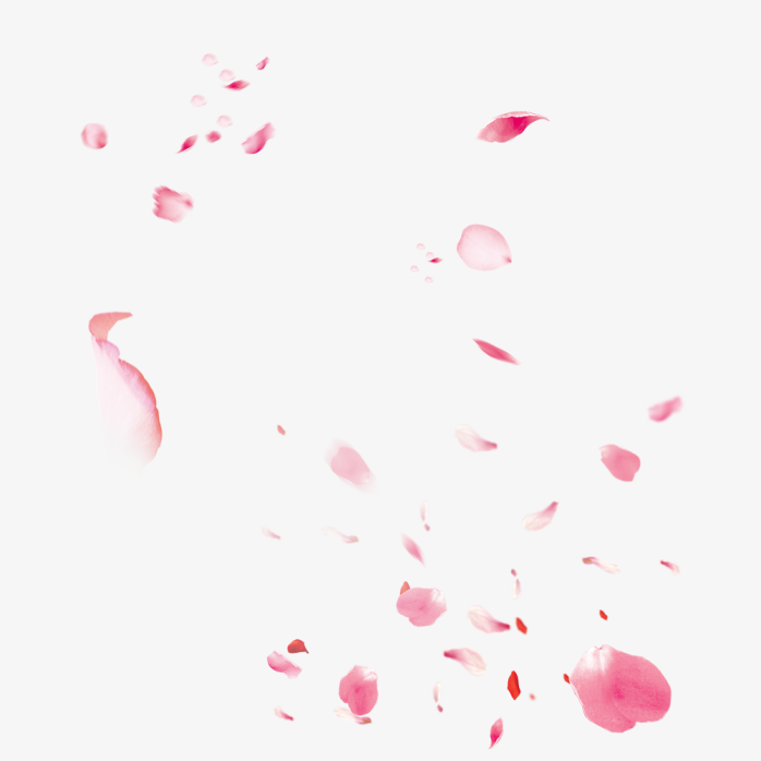 花瓣