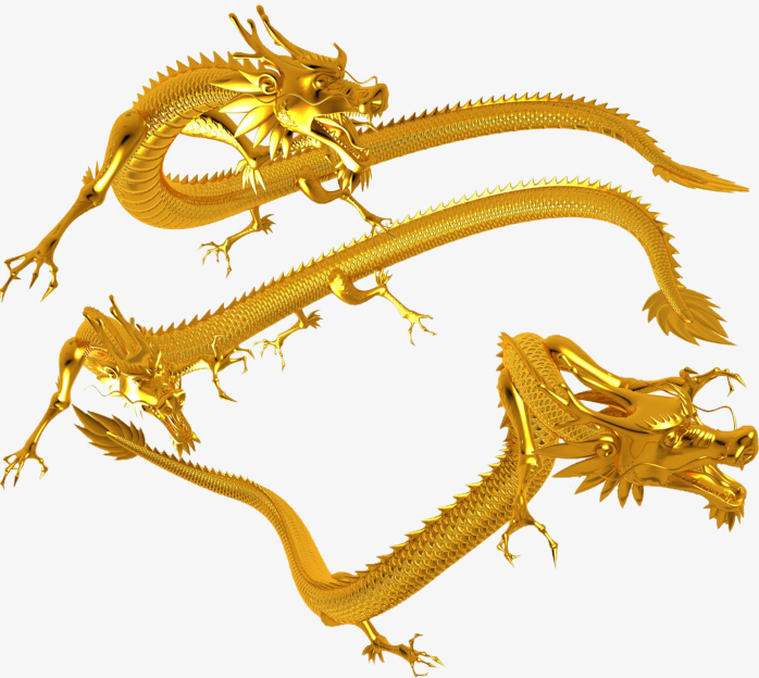 金龙