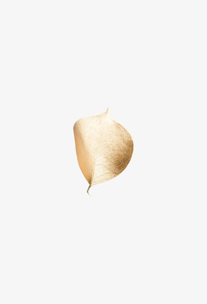 金色树叶