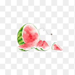 西瓜插画