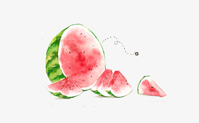 西瓜插画