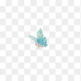 蝴蝶
