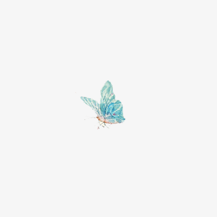 蝴蝶