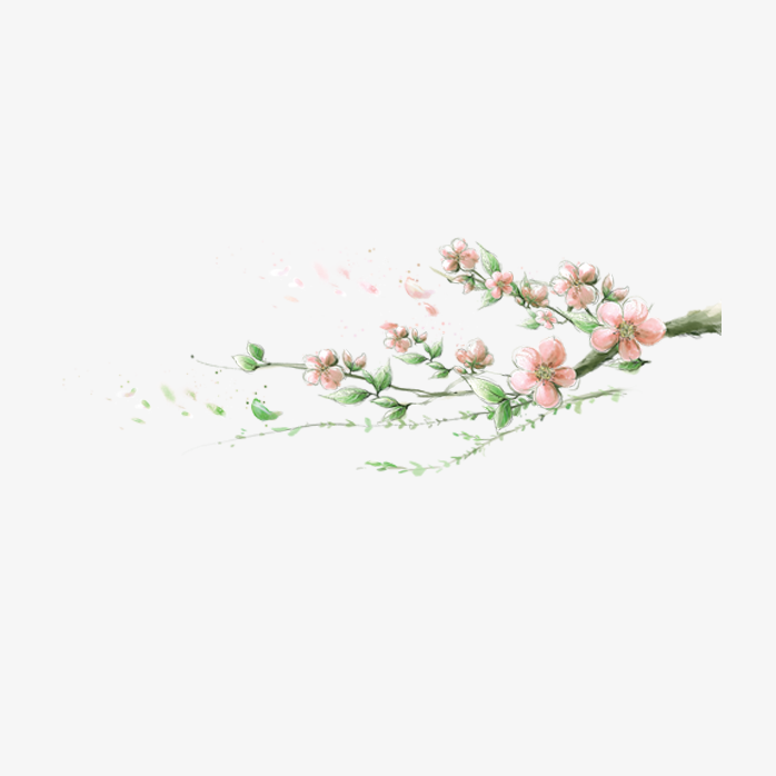 花枝