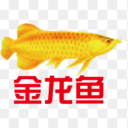 金龙鱼logo