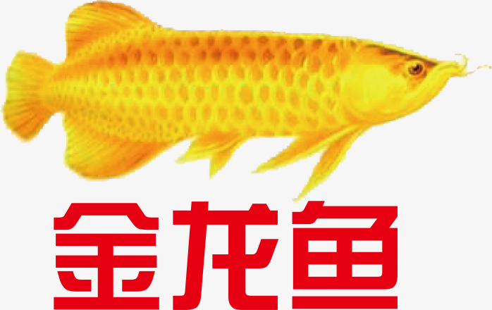 金龙鱼logo