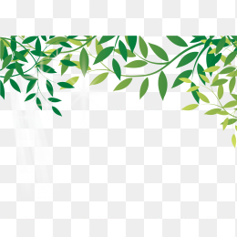 植物