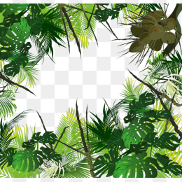 植物3
