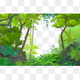 植物4