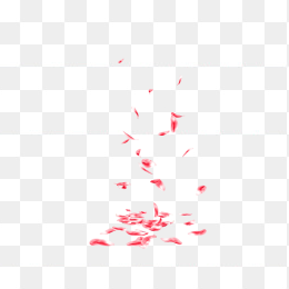 花瓣01