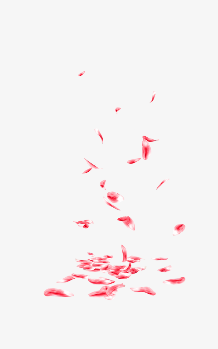 花瓣01