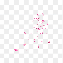 花瓣06