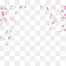 花瓣07