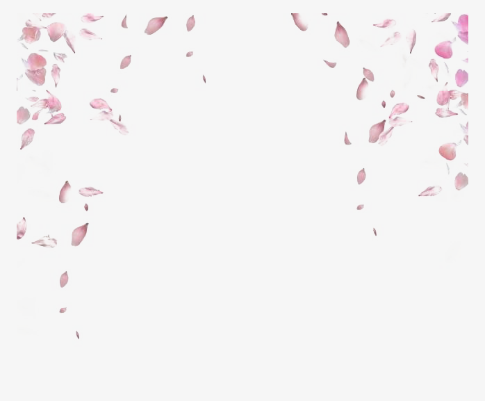 花瓣07