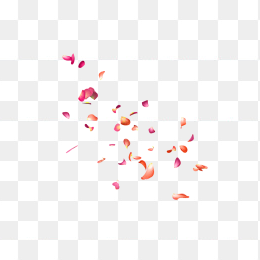 花瓣10
