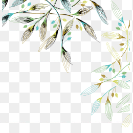 植物7