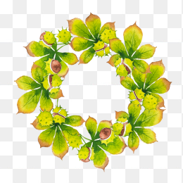 植物9