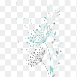 蒲公英10