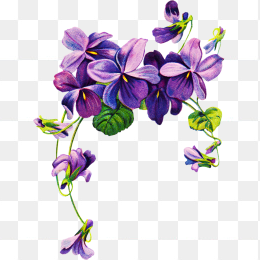 花08