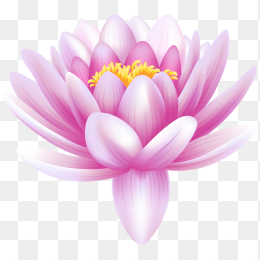 花09