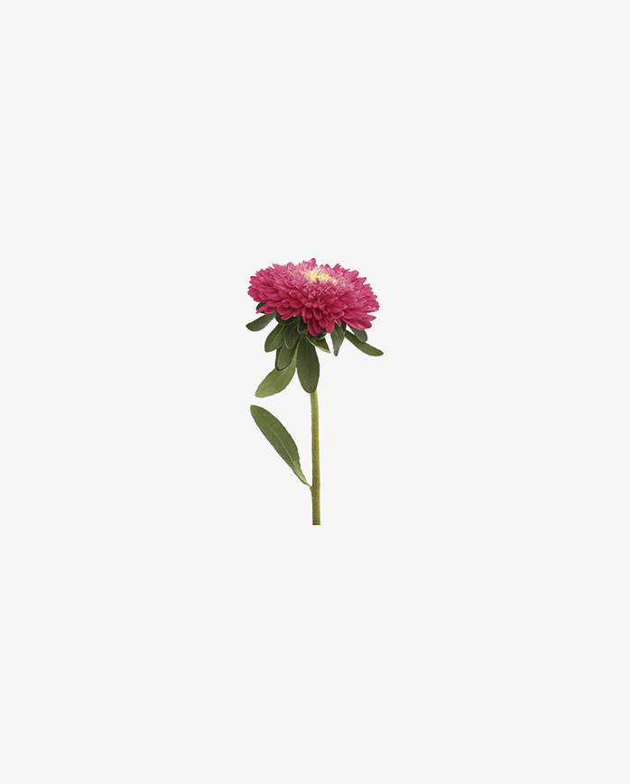 花12