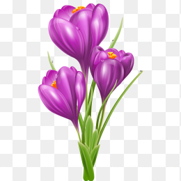 花19