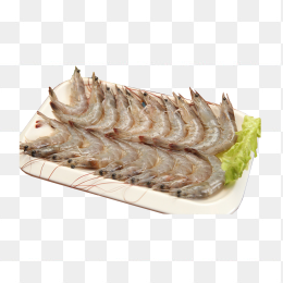 虾米