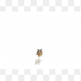 倒影兔子