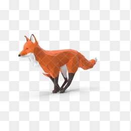 狐狸