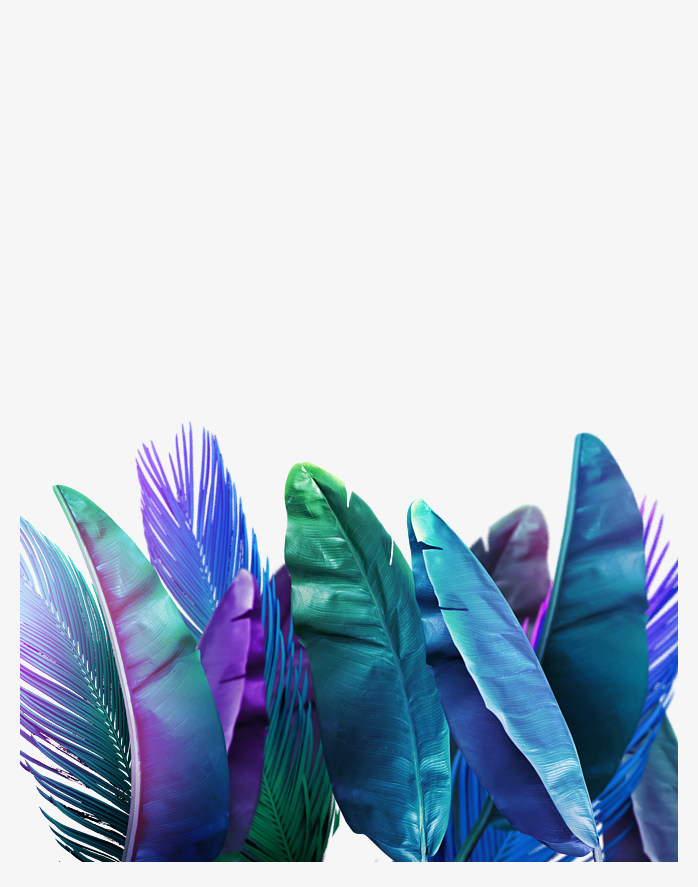 北欧树叶边框