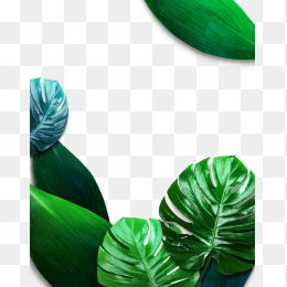 北欧树叶边框