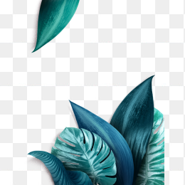 北欧树叶边框