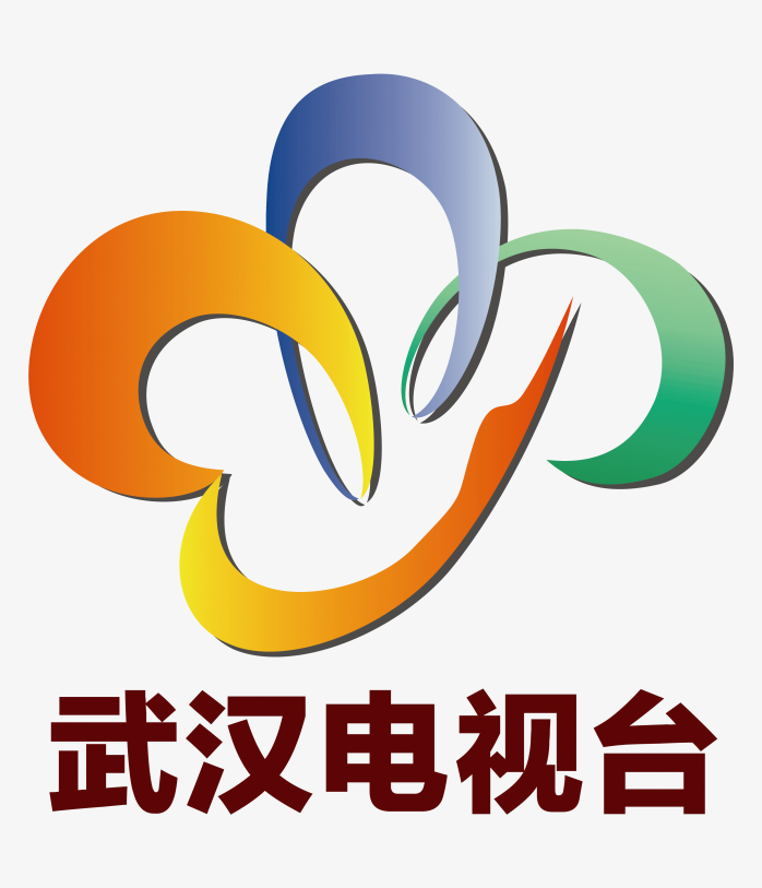 武汉电视台logo