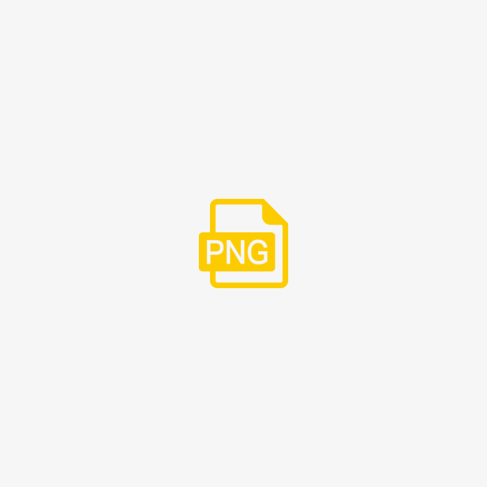 FNG格式